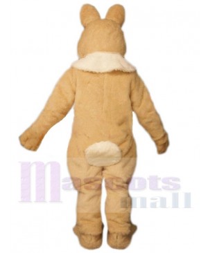 Easter Bunny Rabbit mascot costume