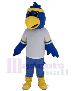 Falcon mascot costume