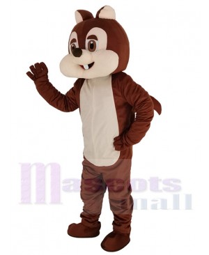 Chipmunk mascot costume