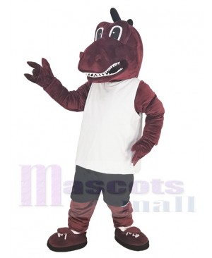 Dragon mascot costume