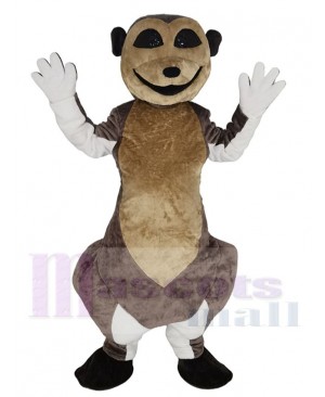 Meerkat mascot costume