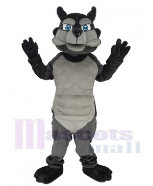 Wolf mascot costume