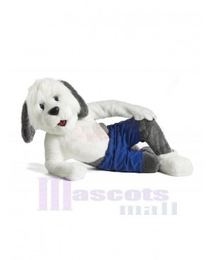 Dog mascot costume