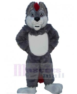 Wolf mascot costume