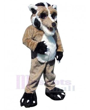 Wolf mascot costume