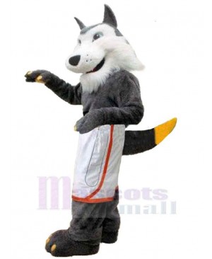 Wolf mascot costume