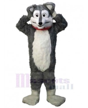 Wolf mascot costume