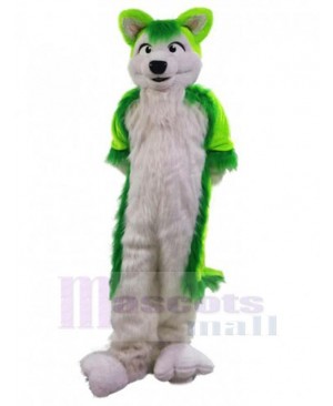 Wolf mascot costume