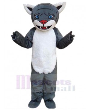 Wolf mascot costume