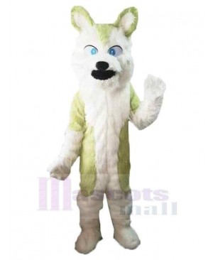 Wolf mascot costume