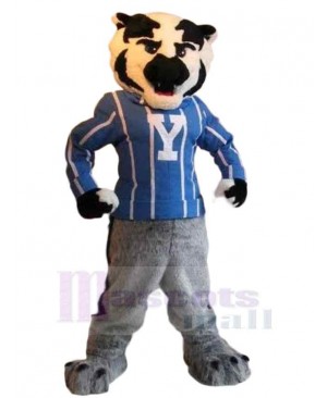 Tiger mascot costume