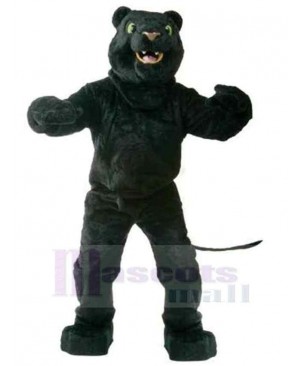 Panther mascot costume