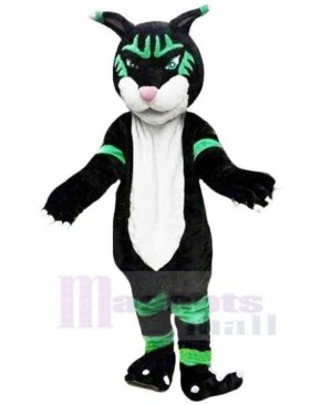 Panther mascot costume