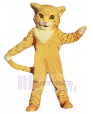 cat mascot costume