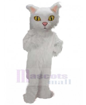 cat mascot costume