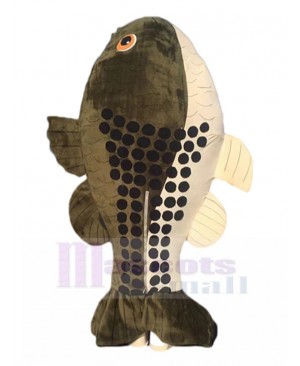 Fish mascot costume