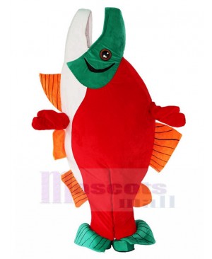 Fish mascot costume