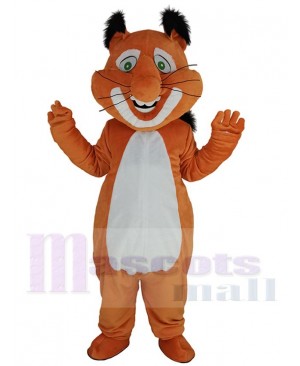 Squirrel mascot costume