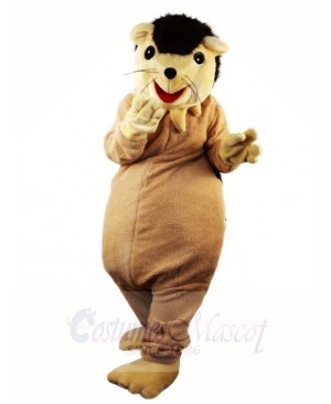 Hedgehog Porcupine Mascot Costumes Animal