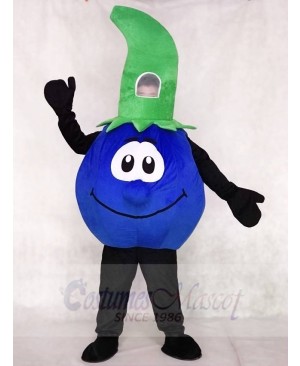 High Quality Bobby Blueberry Blue Berry Mascot Costume