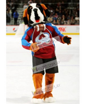 Bernie the Dog St. Bernard Colorado Avalanche Mascot Costume