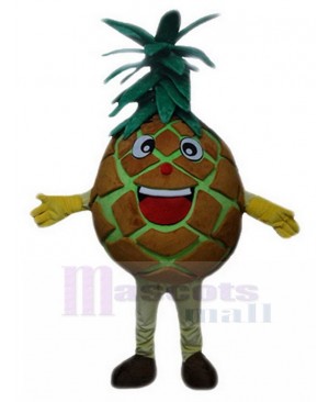 Pineapple mascot costume