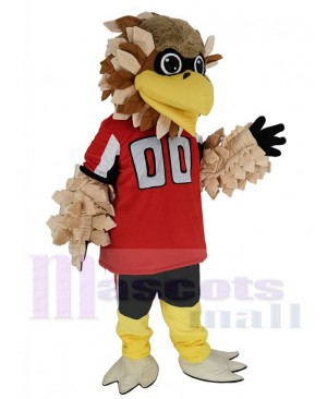 Falcon mascot costume