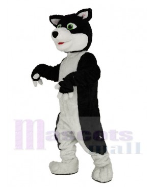 Black and White Border Collie Dog with Green Eyes Mascot Costume