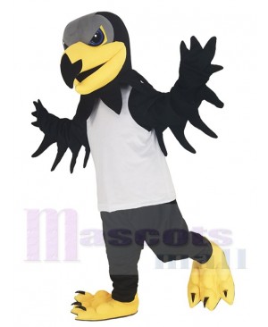 Hawk mascot costume