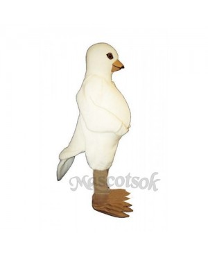 Cute Pigeon Mascot Costume