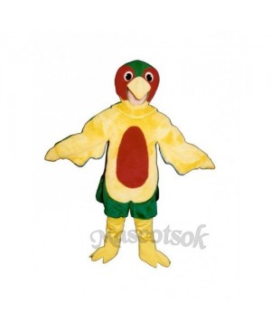 Cute Parrot Mascot Costume