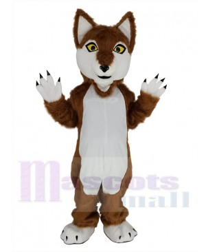 Wolf mascot costume