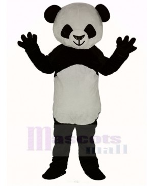 Cute Shorthair Panda Mascot Costume