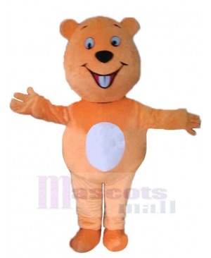 Bear mascot costume