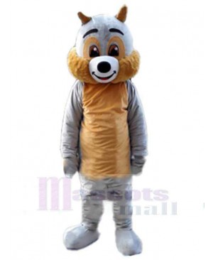 Squirrel mascot costume