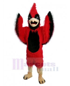 Bird mascot costume