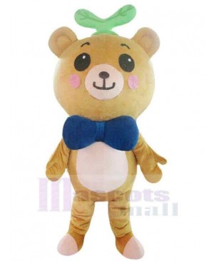 Bear mascot costume