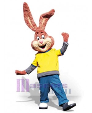 Easter Bunny Rabbit mascot costume