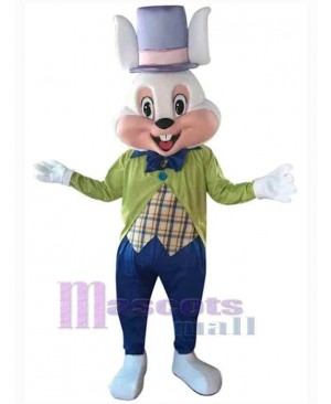 Easter Bunny Rabbit mascot costume