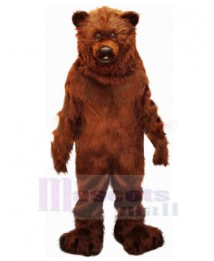 Bear mascot costume