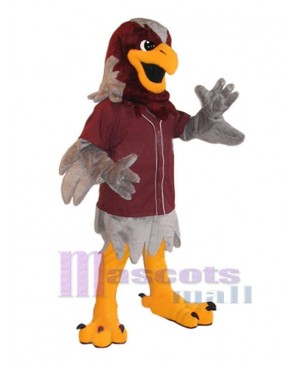 Falcon mascot costume