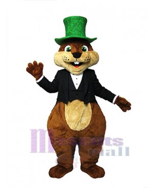 Squirrel mascot costume