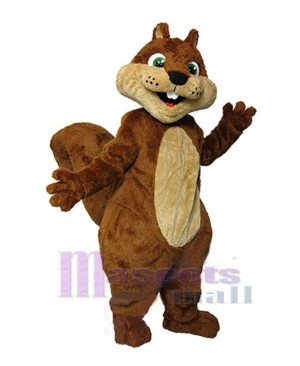 Squirrel mascot costume