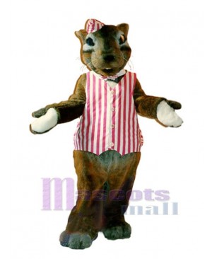 Chipmunk mascot costume