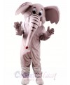 Cartoon Elephant Mascot Costume