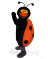 Lady Bug Mascot Costumes