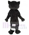 Raccoon mascot costume