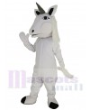 Unicorn Horse mascot costume