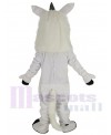 Unicorn Horse mascot costume