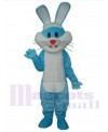 Easter Bunny Rabbit mascot costume